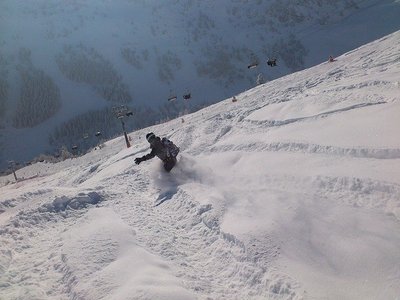 snowboard-113799.jpg